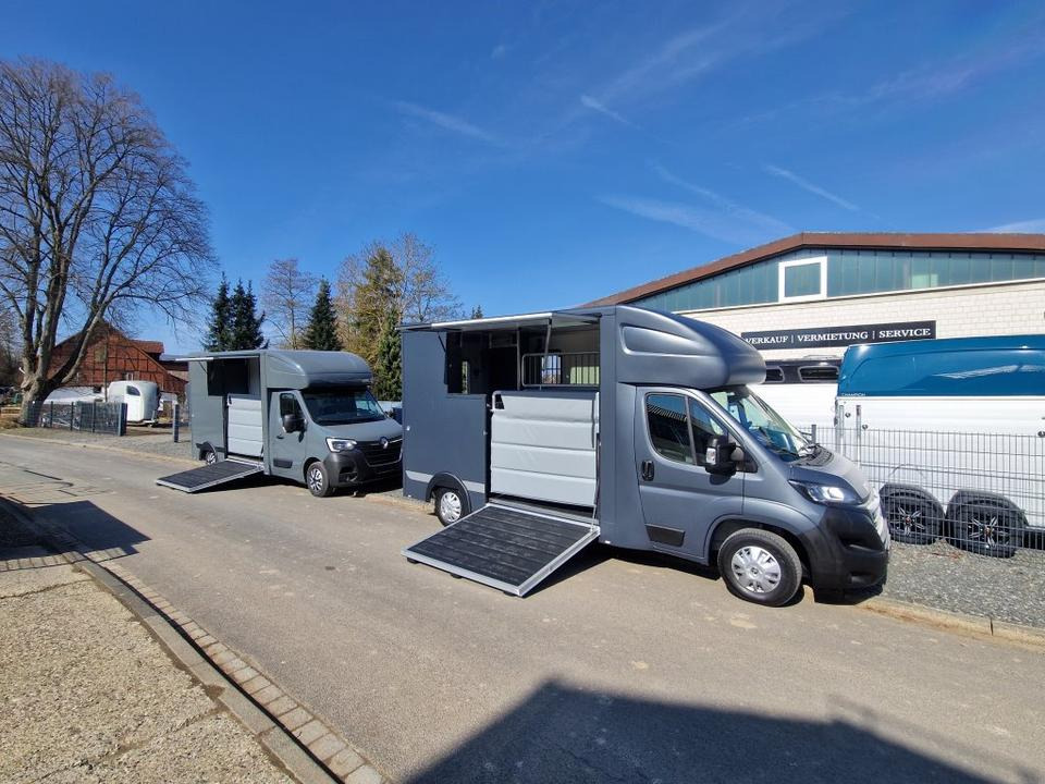 MSG Stablehopper Pferdetransporter Pferdeanhänger Böckmann - At taşıma aracı: fotoğraf 1 MSG Stablehopper Pferdetransporter Pferdeanhänger Böckmann - At taşıma aracı: fotoğraf 1