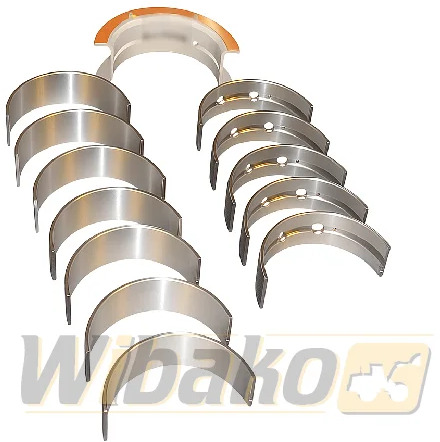 WIBAKO 6CT 3945918 3802211 3802141 - Motor bilyası - İş makinaları: fotoğraf 1 WIBAKO 6CT 3945918 3802211 3802141 - Motor bilyası - İş makinaları: fotoğraf 1