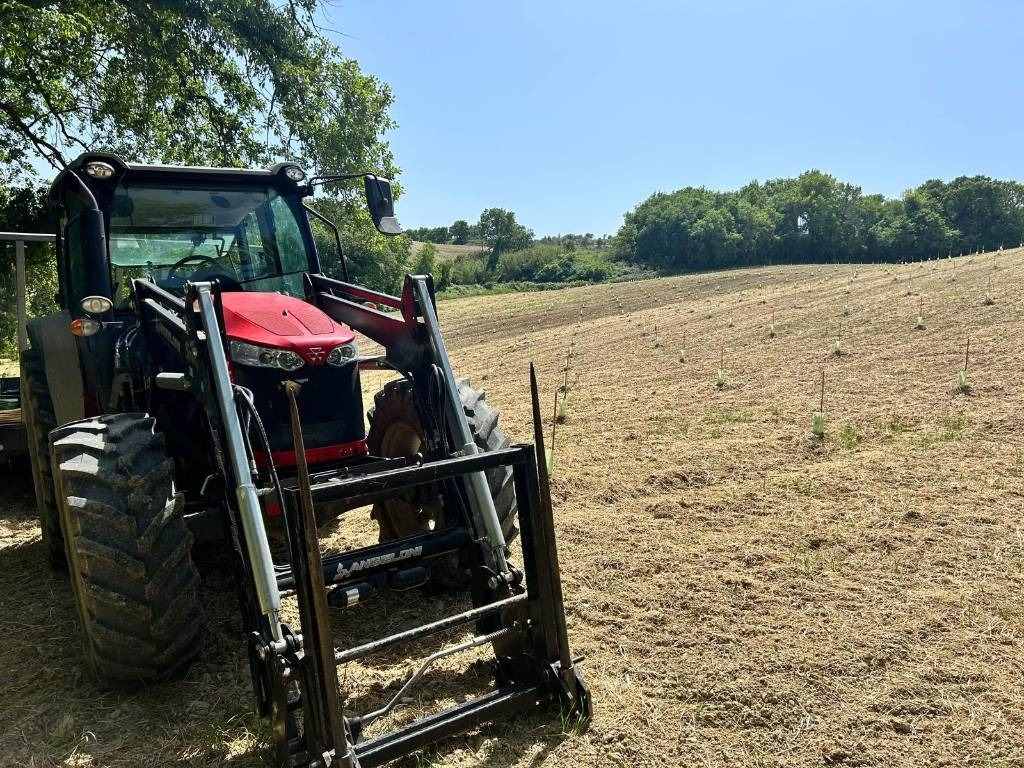 Massey Ferguson 5710  - Traktör: fotoğraf 2 Massey Ferguson 5710  - Traktör: fotoğraf 2