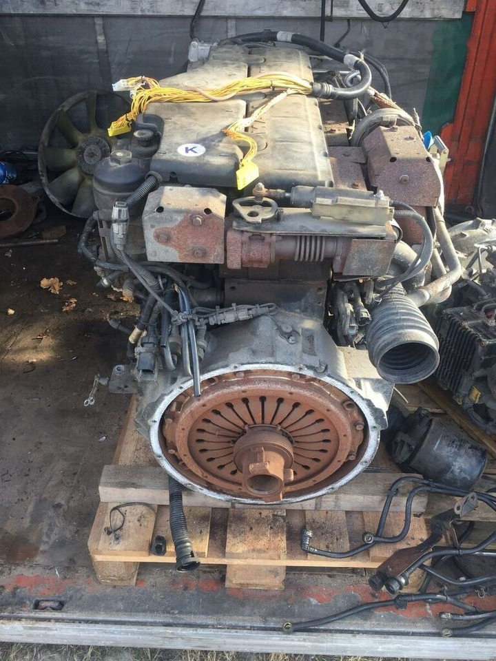 MAN D0836 LFL63 - Motor - Kamyon: fotoğraf 3 MAN D0836 LFL63 - Motor - Kamyon: fotoğraf 3