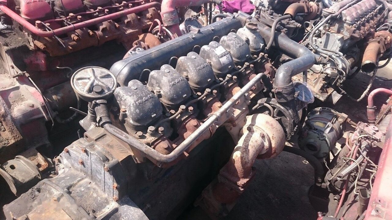 MAN - Motor - Otobüs: fotoğraf 3 MAN - Motor - Otobüs: fotoğraf 3