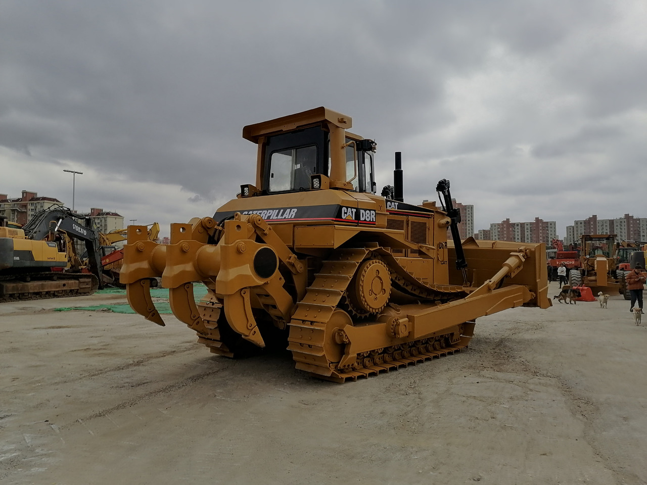 CATERPILLAR D8R Bulldozer Click for Discount - Buldozer: fotoğraf 3 CATERPILLAR D8R Bulldozer Click for Discount - Buldozer: fotoğraf 3