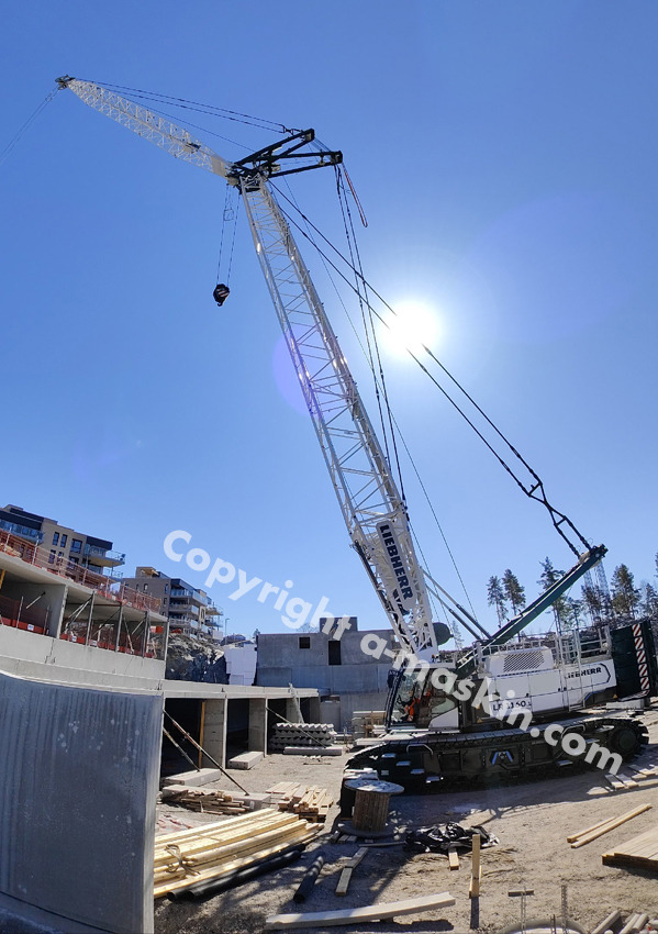 LIEBHERR LR 1160.1. - Paletli vinç: fotoğraf 2 LIEBHERR LR 1160.1. - Paletli vinç: fotoğraf 2