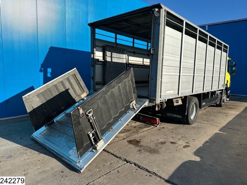 Scania P 320 EURO 5, Manual transmission, Retarder - Hayvan nakil aracı kamyon: fotoğraf 4 Scania P 320 EURO 5, Manual transmission, Retarder - Hayvan nakil aracı kamyon: fotoğraf 4