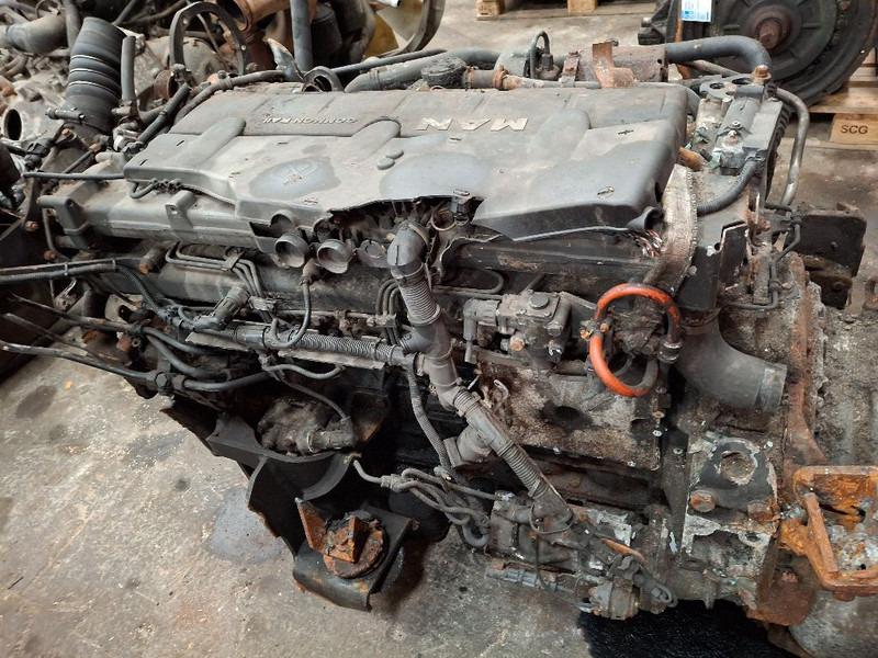 MAN D0836LOH63 - Motor: fotoğraf 5 MAN D0836LOH63 - Motor: fotoğraf 5