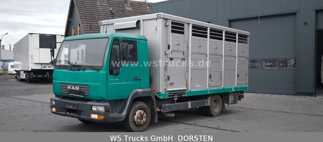 MAN LE 8.220 Menke Einstock Großvieh - Hayvan nakil aracı kamyon: fotoğraf 1 MAN LE 8.220 Menke Einstock Großvieh - Hayvan nakil aracı kamyon: fotoğraf 1