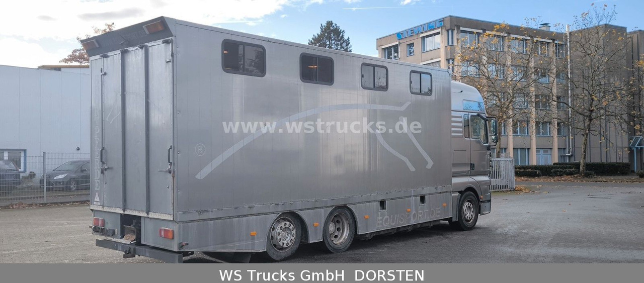 MAN TGA 26.480 FG 6x2 Pferdetransporter Luft/Luft - At taşıma aracı: fotoğraf 4 MAN TGA 26.480 FG 6x2 Pferdetransporter Luft/Luft - At taşıma aracı: fotoğraf 4