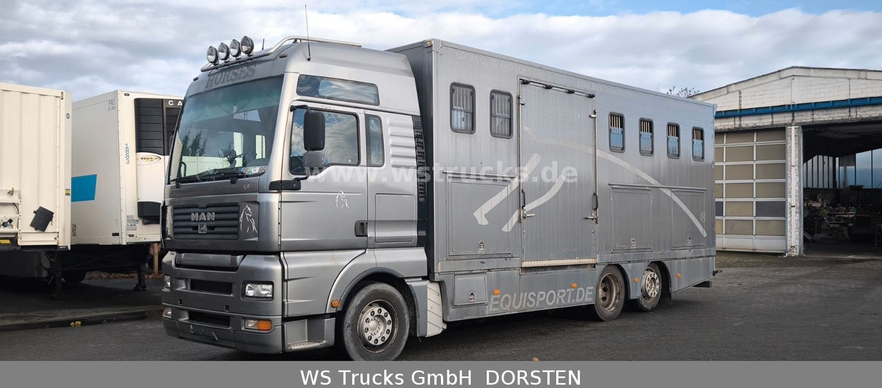 MAN TGA 26.480 FG 6x2 Pferdetransporter Luft/Luft - At taşıma aracı: fotoğraf 2 MAN TGA 26.480 FG 6x2 Pferdetransporter Luft/Luft - At taşıma aracı: fotoğraf 2