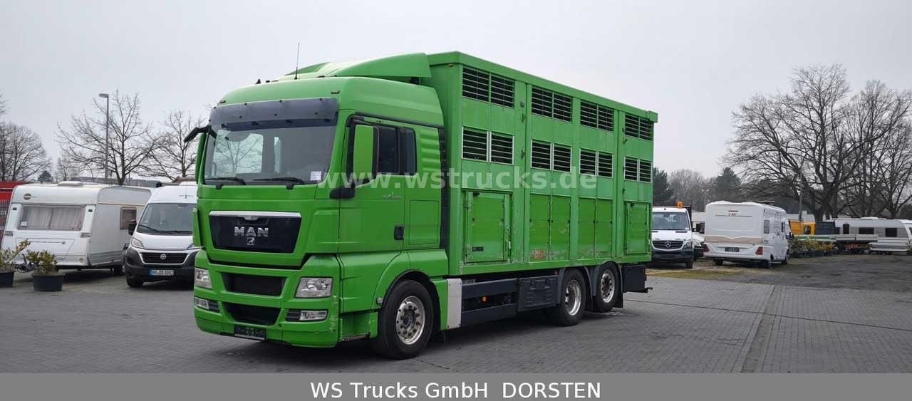 MAN TGX 26.480 XL KABA 3 Stock Viehtransporter - At taşıma aracı: fotoğraf 2 MAN TGX 26.480 XL KABA 3 Stock Viehtransporter - At taşıma aracı: fotoğraf 2