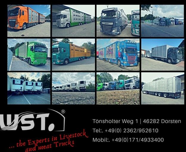 Frigorifik dorse Schmitz Cargobull SKO 24 Kühlauflieger | Rohrbahn Vector 1850Mt: fotoğraf 21