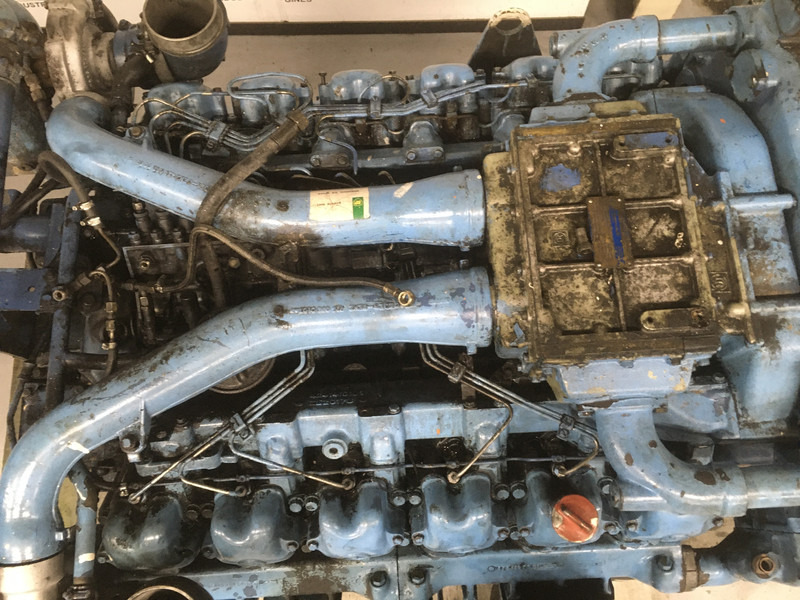 MTU MERCEDES 12V183TE61 OM424LA FOR PARTS - İş makinaları: fotoğraf 5 MTU MERCEDES 12V183TE61 OM424LA FOR PARTS - İş makinaları: fotoğraf 5