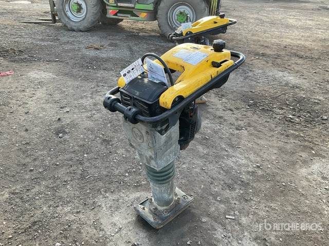 2017 Wacker Neuson BS50-2 Jumping Jack Tamper - Vibrasyonlu tokmak: fotoğraf 1 2017 Wacker Neuson BS50-2 Jumping Jack Tamper - Vibrasyonlu tokmak: fotoğraf 1