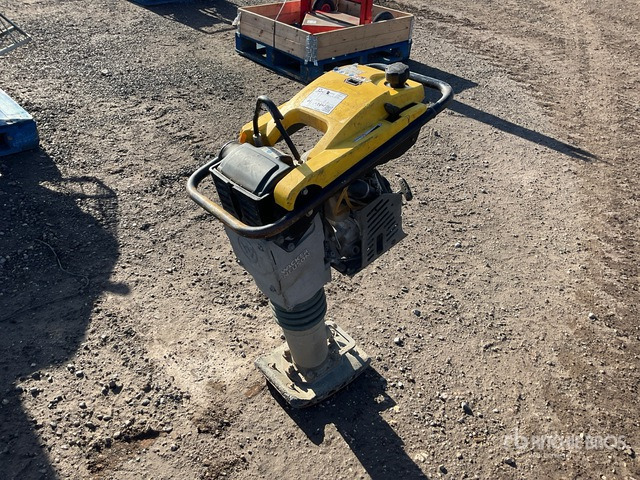 2019 Wacker Neuson Rammer BS50-4AS Vibratory Plate Compactor Jumping Jack Tamper - Vibrasyonlu tokmak: fotoğraf 1 2019 Wacker Neuson Rammer BS50-4AS Vibratory Plate Compactor Jumping Jack Tamper - Vibrasyonlu tokmak: fotoğraf 1