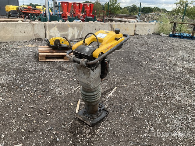 2021 Wacker Neuson BS60-2 Jumping Jack Tamper - Vibrasyonlu tokmak: fotoğraf 2 2021 Wacker Neuson BS60-2 Jumping Jack Tamper - Vibrasyonlu tokmak: fotoğraf 2