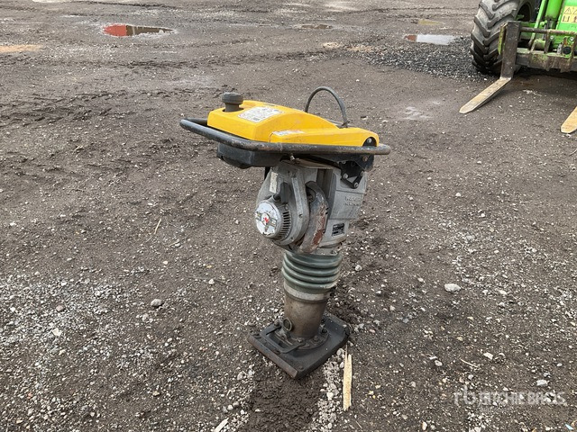 2021 Wacker Neuson BS60-2 Jumping Jack Tamper - Vibrasyonlu tokmak: fotoğraf 4 2021 Wacker Neuson BS60-2 Jumping Jack Tamper - Vibrasyonlu tokmak: fotoğraf 4