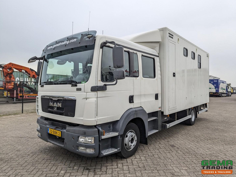 MAN TGL 12.180 4x2 DoKa 7 pers. Euro5 EEV - Paardenwagen 2-Paards - 147.000km! - MARGE - At taşıma aracı: fotoğraf 3 MAN TGL 12.180 4x2 DoKa 7 pers. Euro5 EEV - Paardenwagen 2-Paards - 147.000km! - MARGE - At taşıma aracı: fotoğraf 3