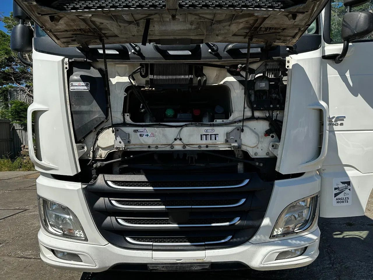Çekici DAF XF 460 4X2 Tractor-unit Spring/Air Retarder ACC DAF XF 460 4X2 Tractor-unit Spring/Air Retarder ACC: fotoğraf 14