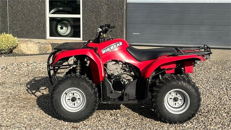 Yamaha Big bear 250 - ATV: fotoğraf 5 Yamaha Big bear 250 - ATV: fotoğraf 5