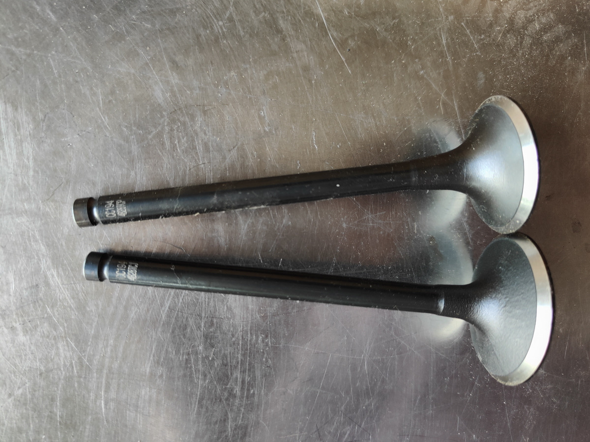 CHANGCHAI 4L68 Engine Intake/Exhaust Valve - Sübap - Tekerlekli yükleyici: fotoğraf 1 CHANGCHAI 4L68 Engine Intake/Exhaust Valve - Sübap - Tekerlekli yükleyici: fotoğraf 1