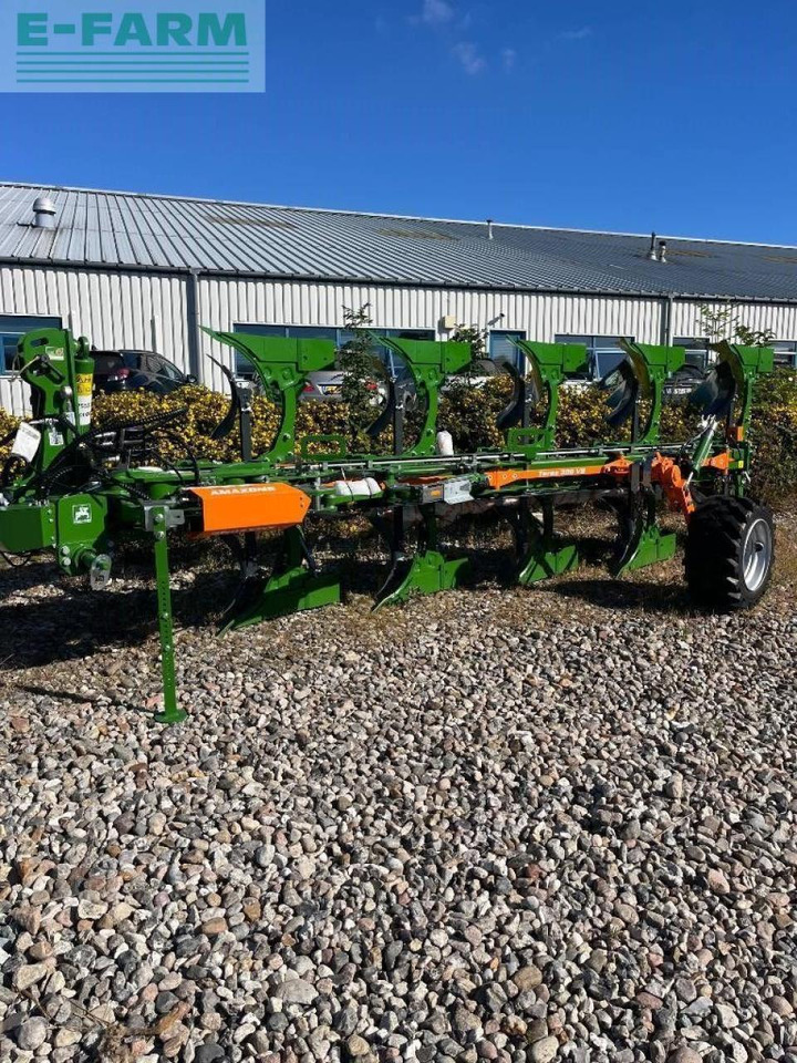 Amazone teres - Pulluk: fotoğraf 1 Amazone teres - Pulluk: fotoğraf 1