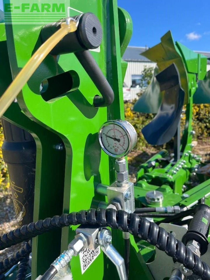 Amazone teres - Pulluk: fotoğraf 5 Amazone teres - Pulluk: fotoğraf 5