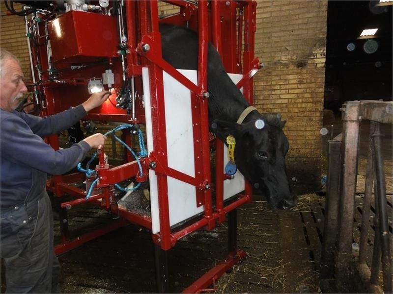 Pomi Std1 Fabriksny - Hayvancılık ekipmanları: fotoğraf 2 Pomi Std1 Fabriksny - Hayvancılık ekipmanları: fotoğraf 2