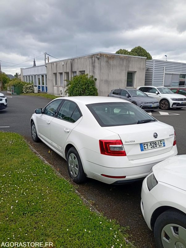 EY-528-LF - Roulant - SKODA OCTAVIA - VP - 421 000 Kms - Binek araba: fotoğraf 3 EY-528-LF - Roulant - SKODA OCTAVIA - VP - 421 000 Kms - Binek araba: fotoğraf 3