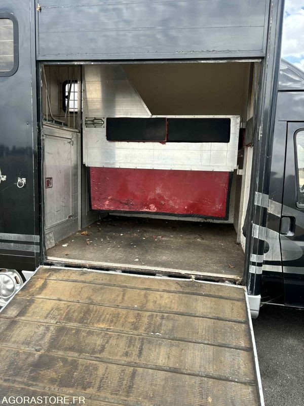 Fourgon FORD - Transport de 2 Chevaux - 2004 - 137 510 KM - Panelvan: fotoğraf 3 Fourgon FORD - Transport de 2 Chevaux - 2004 - 137 510 KM - Panelvan: fotoğraf 3