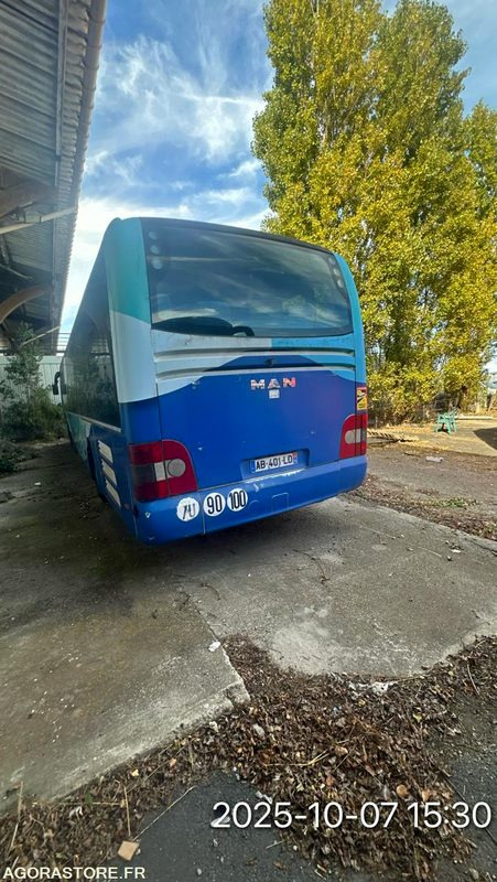 MAN LION'S REGIO N°096055 - Okul otobüsü: fotoğraf 3 MAN LION'S REGIO N°096055 - Okul otobüsü: fotoğraf 3