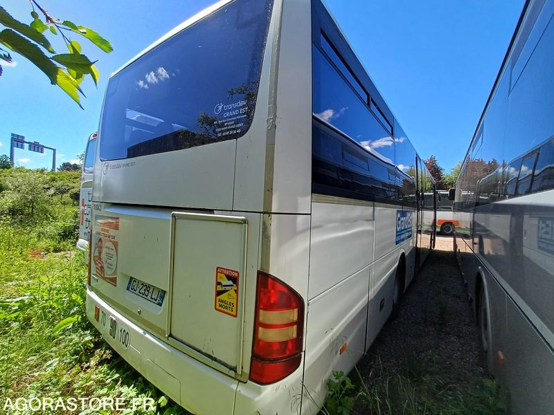 MERCEDES - INTOURO - 2007 / 531917KM - GJ239LJ (10043) - Okul otobüsü: fotoğraf 4 MERCEDES - INTOURO - 2007 / 531917KM - GJ239LJ (10043) - Okul otobüsü: fotoğraf 4