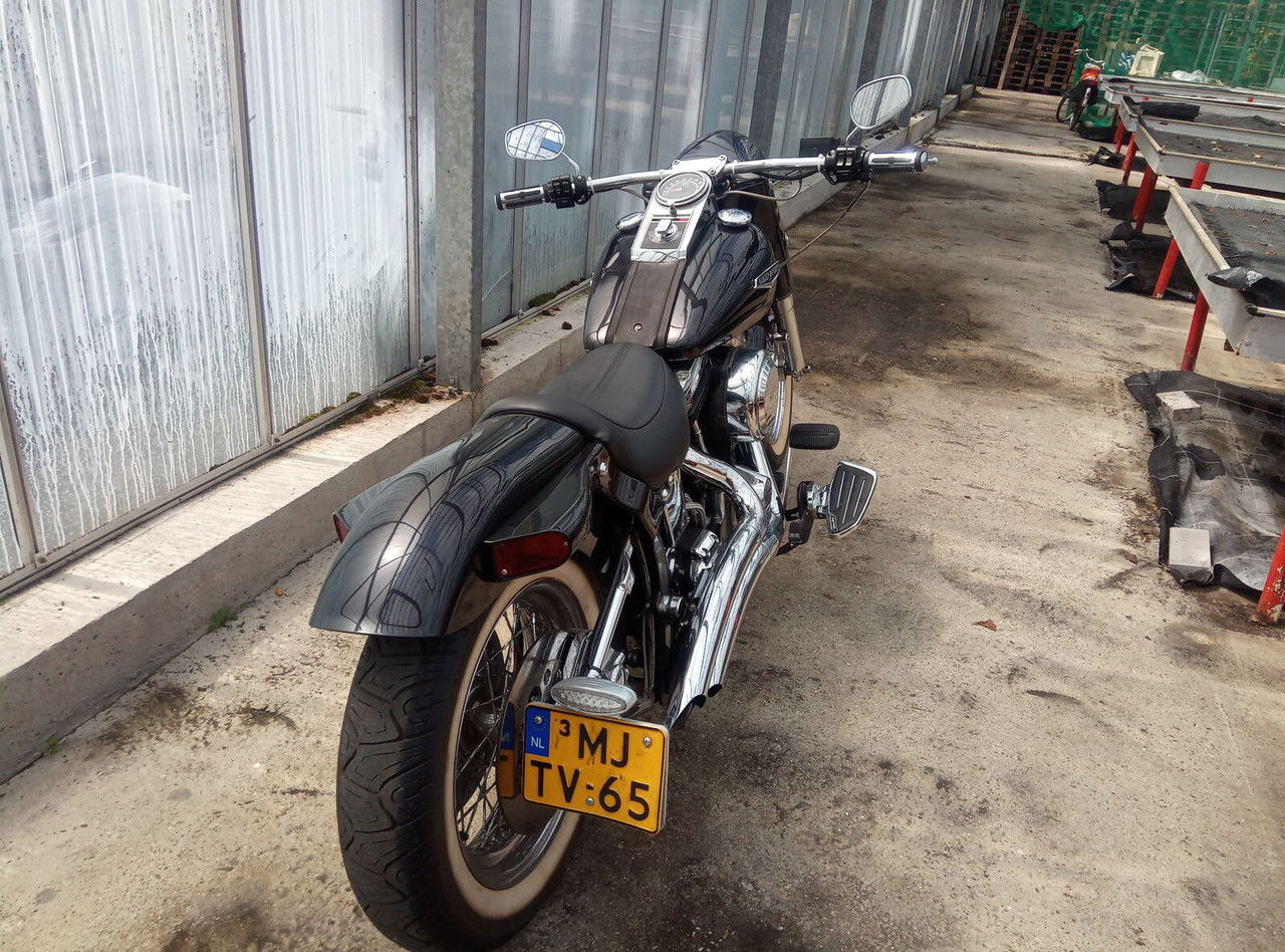 Harley-Davidson Custom Custom - Motosiklet: fotoğraf 3 Harley-Davidson Custom Custom - Motosiklet: fotoğraf 3