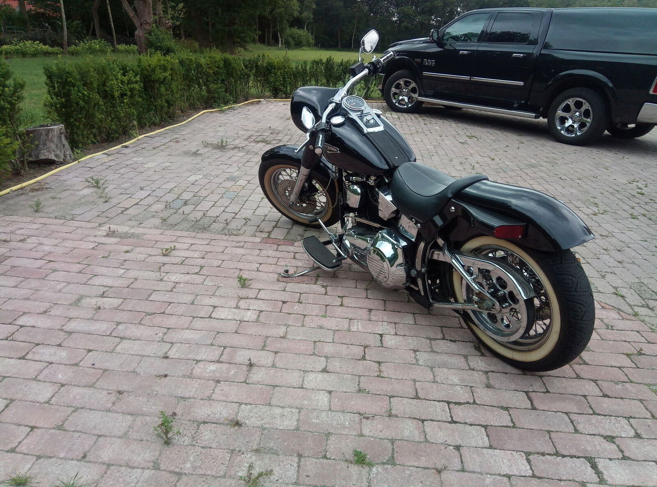 Harley-Davidson Custom Custom - Motosiklet: fotoğraf 1 Harley-Davidson Custom Custom - Motosiklet: fotoğraf 1