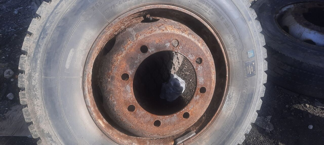 Lastik - Kamyon Michelin 295*80R22.5 255*70 \ 275*70* 265\70R19.5: fotoğraf 17