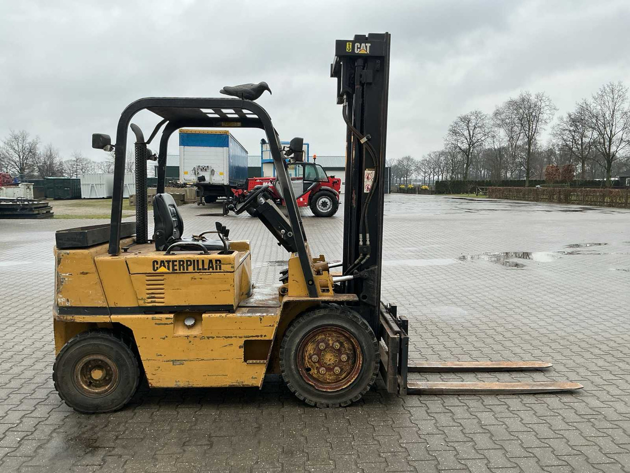 1991 CATERPILLAR V50D FORKLIFT - Forklift: fotoğraf 4 1991 CATERPILLAR V50D FORKLIFT - Forklift: fotoğraf 4