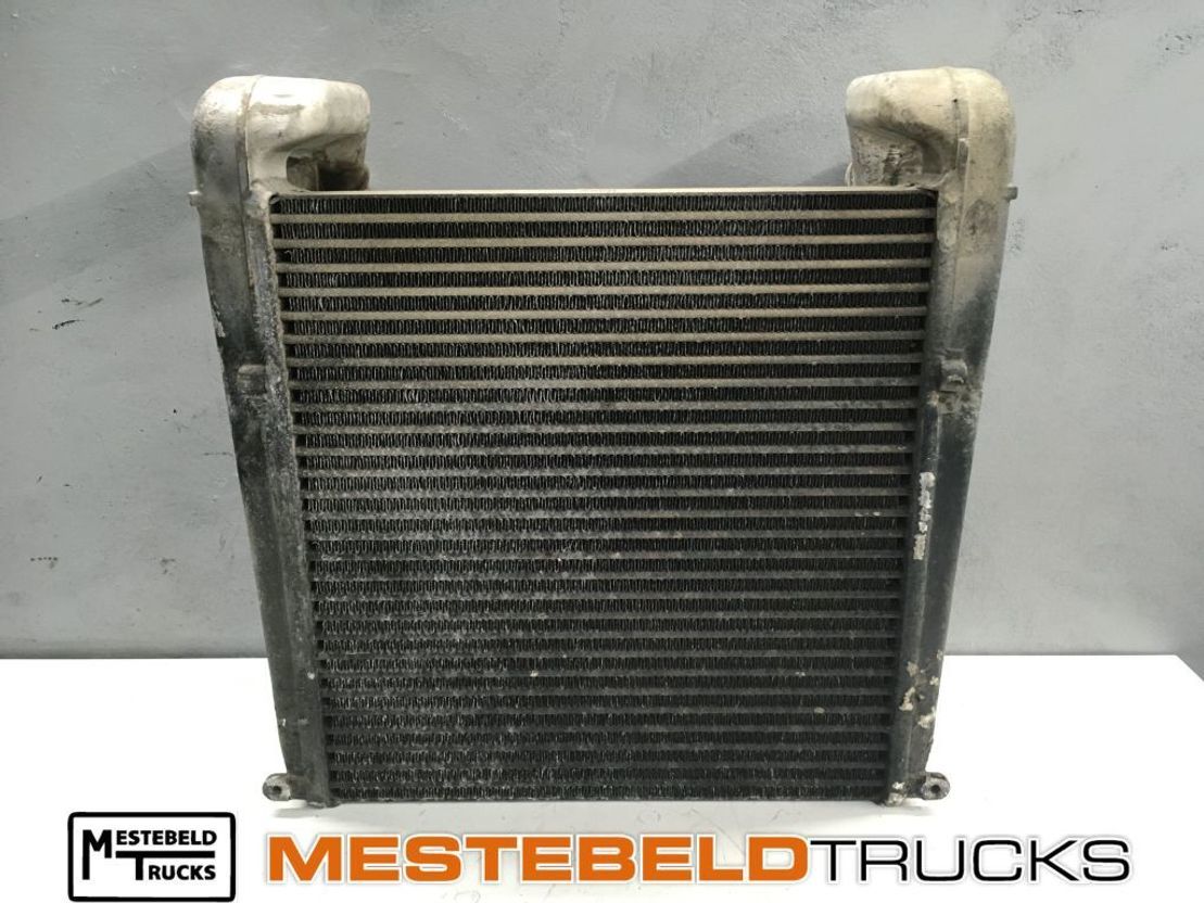 MAN Intercooler - Hava emme sistemi - Kamyon: fotoğraf 1 MAN Intercooler - Hava emme sistemi - Kamyon: fotoğraf 1
