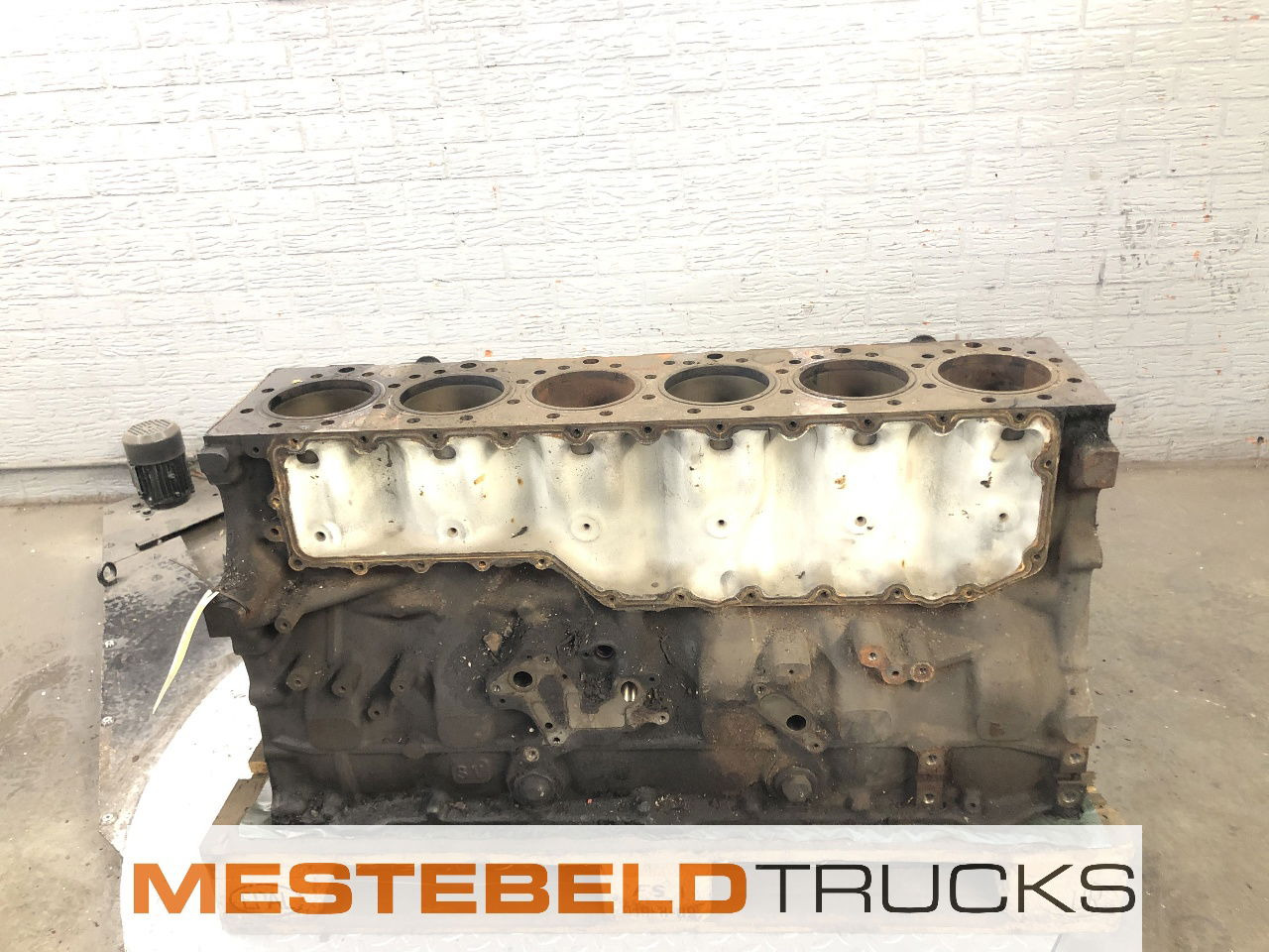 Renault Motorblok DXI 13 Magnum - Motor - Kamyon: fotoğraf 3 Renault Motorblok DXI 13 Magnum - Motor - Kamyon: fotoğraf 3