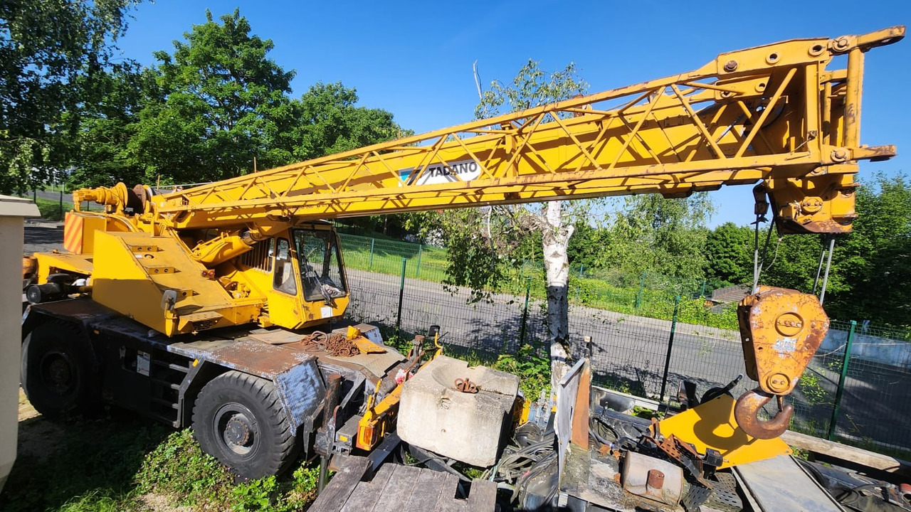 TADANO TR 250 E - Vinç: fotoğraf 1 TADANO TR 250 E - Vinç: fotoğraf 1