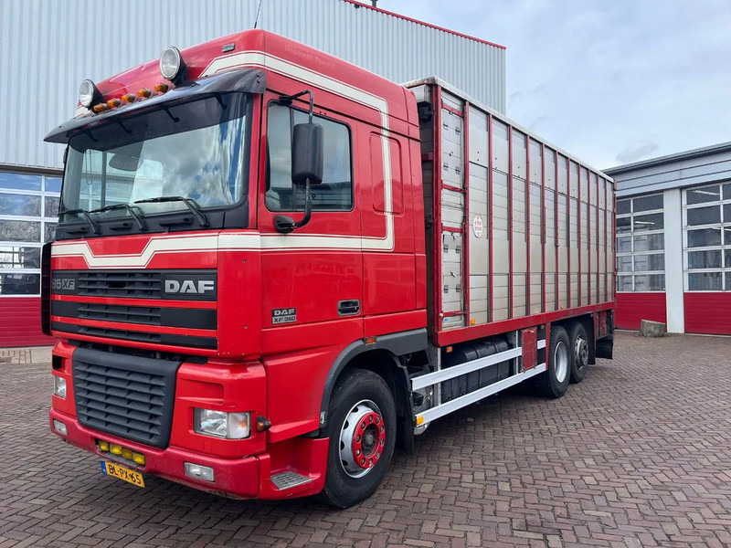 DAF XF FAR 95XF.380 EURO 2 - Hayvan nakil aracı kamyon: fotoğraf 1 DAF XF FAR 95XF.380 EURO 2 - Hayvan nakil aracı kamyon: fotoğraf 1
