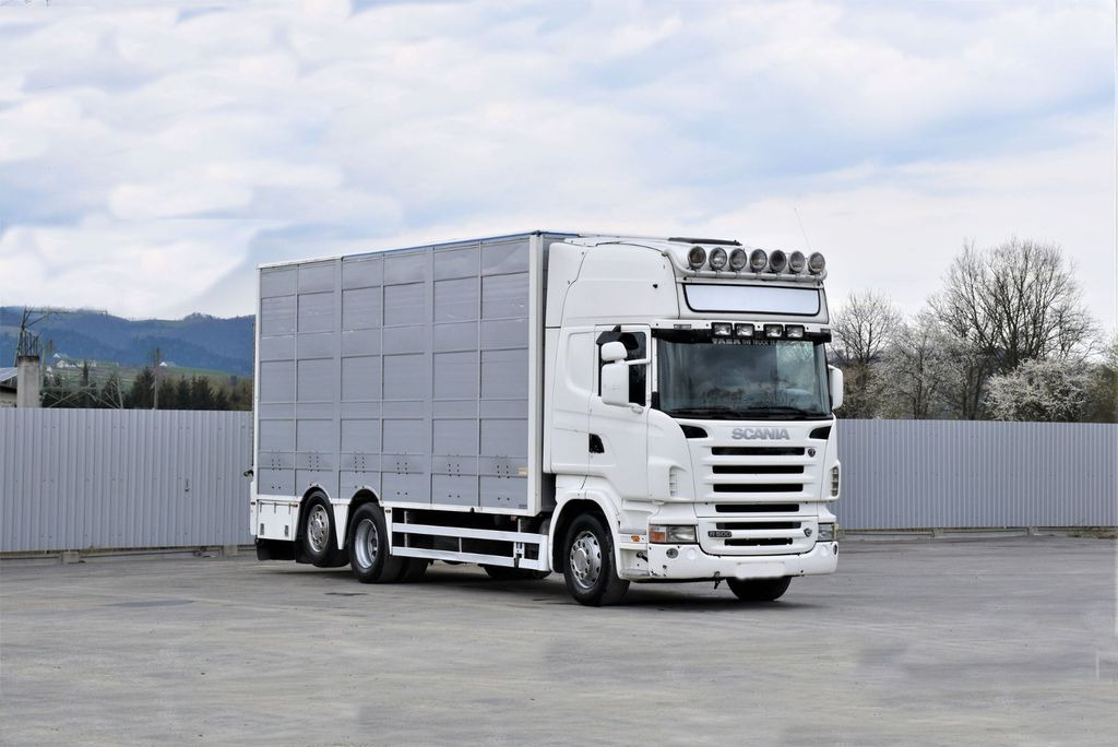 Scania R 500 TIERTRANSPORTWAGEN 7,10m / 4STOCK - Hayvan nakil aracı kamyon: fotoğraf 2 Scania R 500 TIERTRANSPORTWAGEN 7,10m / 4STOCK - Hayvan nakil aracı kamyon: fotoğraf 2
