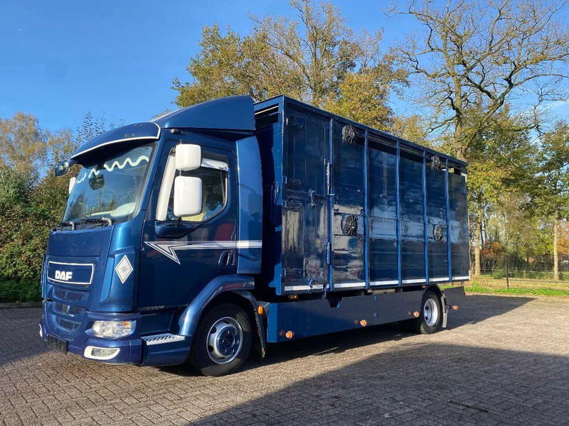 DAF LF 280 - Hayvan nakil aracı kamyon: fotoğraf 1 DAF LF 280 - Hayvan nakil aracı kamyon: fotoğraf 1