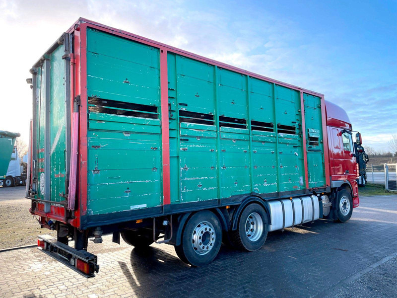 Hayvan nakil aracı kamyon DAF XF 105.460 2-Stock Finkl Viehaufbau / Lenkachs: fotoğraf 8 Hayvan nakil aracı kamyon DAF XF 105.460 2-Stock Finkl Viehaufbau / Lenkachs: fotoğraf 8