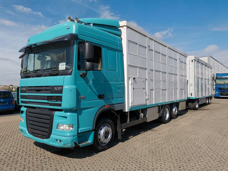 DAF XF 105.460 - Animal transporter + trailer - Hayvan nakil aracı kamyon: fotoğraf 1 DAF XF 105.460 - Animal transporter + trailer - Hayvan nakil aracı kamyon: fotoğraf 1