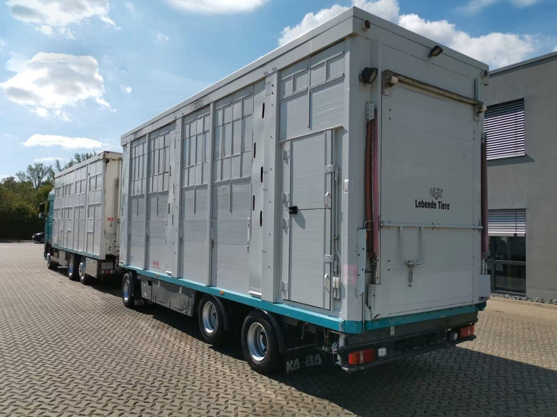 DAF XF 105.460 - Animal transporter + trailer - Hayvan nakil aracı kamyon: fotoğraf 4 DAF XF 105.460 - Animal transporter + trailer - Hayvan nakil aracı kamyon: fotoğraf 4