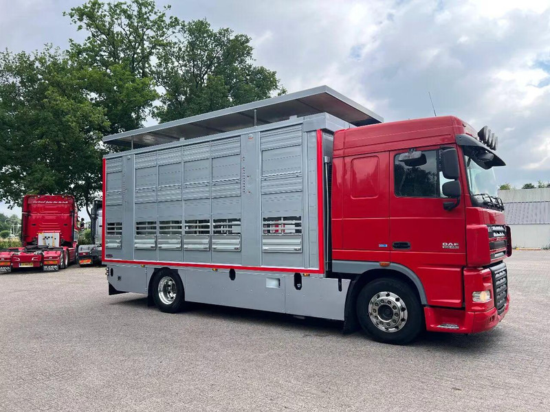 DAF XF 106.460 - Finkl Animal transporter - Hayvan nakil aracı kamyon: fotoğraf 2 DAF XF 106.460 - Finkl Animal transporter - Hayvan nakil aracı kamyon: fotoğraf 2