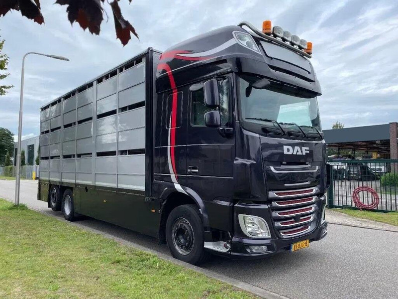 DAF XF 460 - Animal transporter - Hayvan nakil aracı kamyon: fotoğraf 2 DAF XF 460 - Animal transporter - Hayvan nakil aracı kamyon: fotoğraf 2