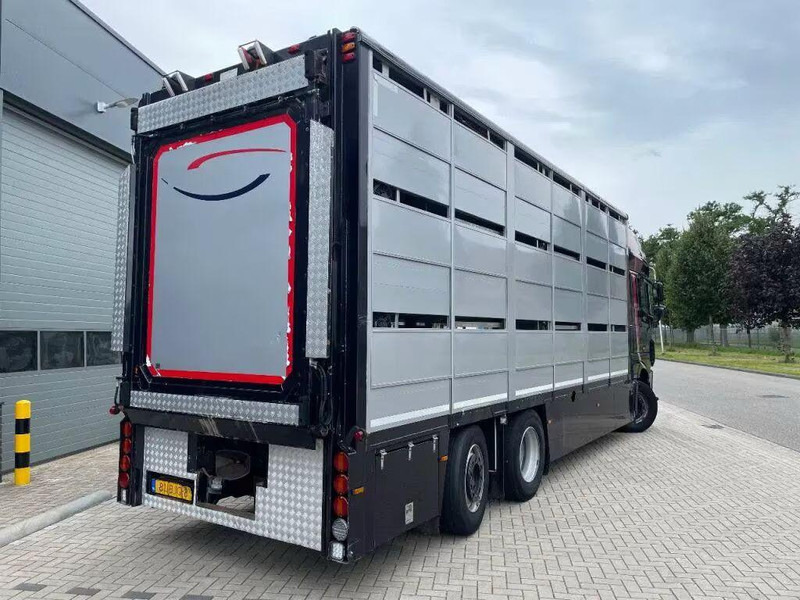 DAF XF 460 - Animal transporter - Hayvan nakil aracı kamyon: fotoğraf 5 DAF XF 460 - Animal transporter - Hayvan nakil aracı kamyon: fotoğraf 5