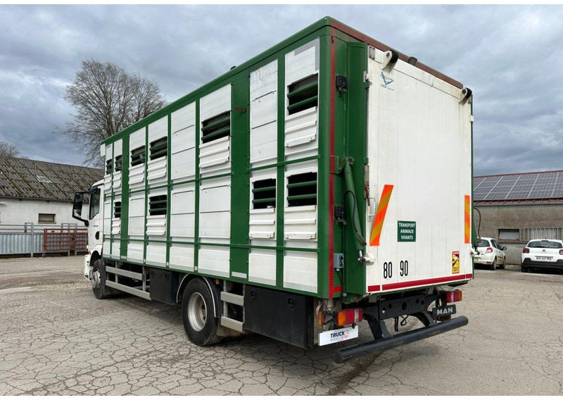 MAN TGM 15.290 Livestock Double Deck - Hayvan nakil aracı kamyon: fotoğraf 5 MAN TGM 15.290 Livestock Double Deck - Hayvan nakil aracı kamyon: fotoğraf 5