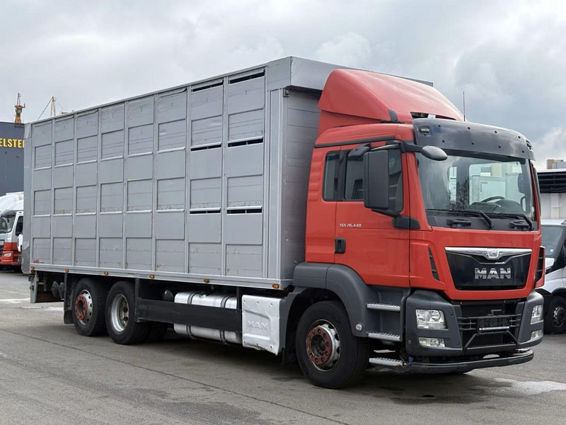 MAN TGS 26.440 - Animal transporter - Hayvan nakil aracı kamyon: fotoğraf 2 MAN TGS 26.440 - Animal transporter - Hayvan nakil aracı kamyon: fotoğraf 2