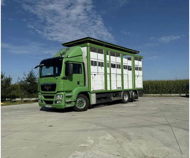 MAN TGS 26.440 Livestock Transporter - Three Deck - Hayvan nakil aracı kamyon: fotoğraf 5 MAN TGS 26.440 Livestock Transporter - Three Deck - Hayvan nakil aracı kamyon: fotoğraf 5