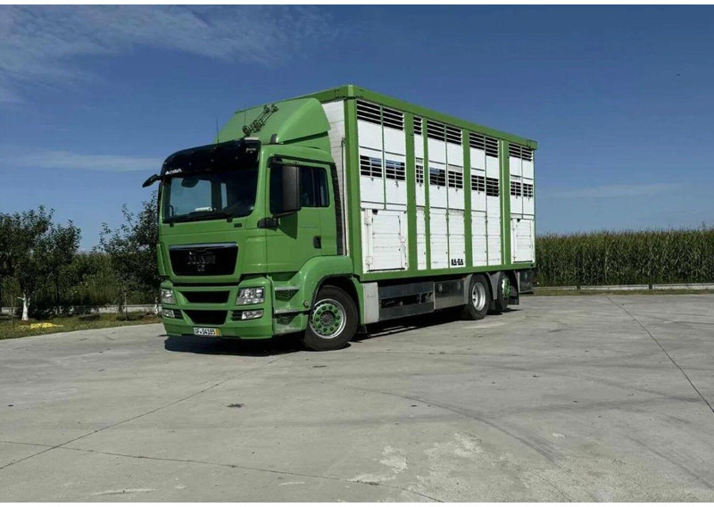 MAN TGS 26.440 Livestock Transporter - Three Deck - Hayvan nakil aracı kamyon: fotoğraf 1 MAN TGS 26.440 Livestock Transporter - Three Deck - Hayvan nakil aracı kamyon: fotoğraf 1